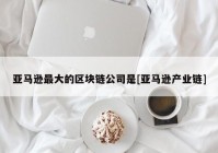 亚马逊最大的区块链公司是[亚马逊产业链]